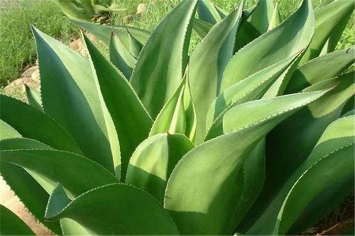 image007_副本2.jpg image007_副本2.jpg