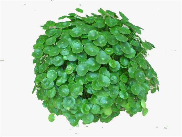 image001.jpg image001.jpg