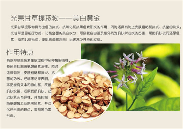 image007.jpg image007.jpg